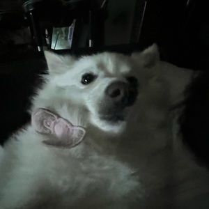 Meet your Posher, Nayzeth